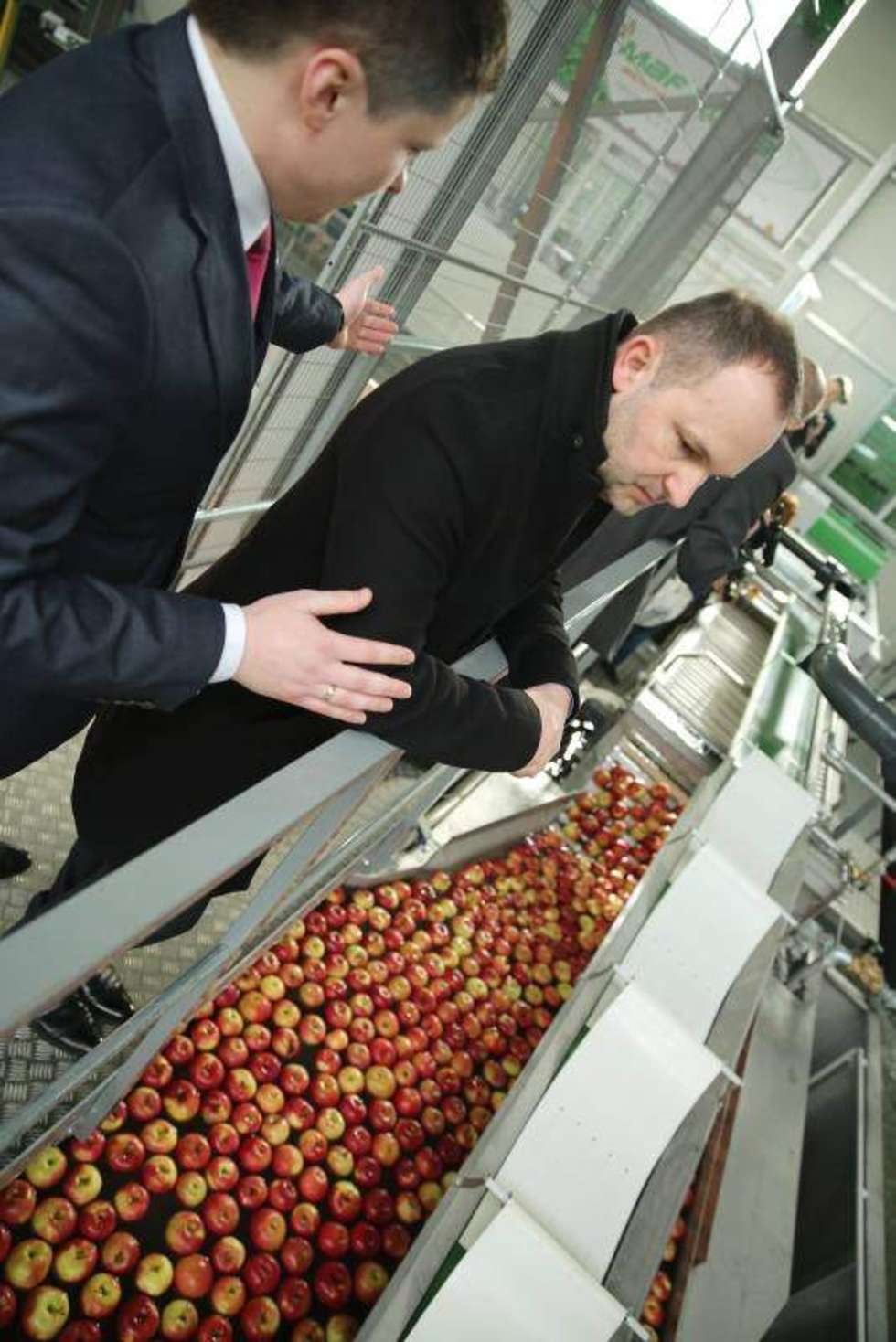  W Piotrawinie koło Opola Lubelskiego firma Fruvitaland skupiająca 128 producentów owoców i warzyw oficjalnie otworzyła centrum logistyczne z nowoczesną sortownią. Przedmiotem obrotu grupy są owoce jabłoni, wiśni, śliwy, gruszy, truskawki, maliny, porzeczki oraz warzywa. Fot. Maciej Kaczanowski  