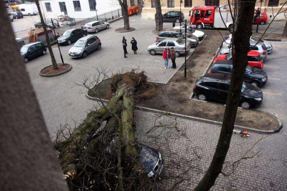  Drzewo przewróciło się na auto na ul. Sądowej