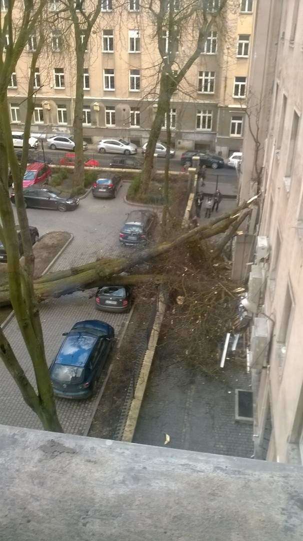 Drzewo przewróciło się na budynek Urzędu Skarbowego