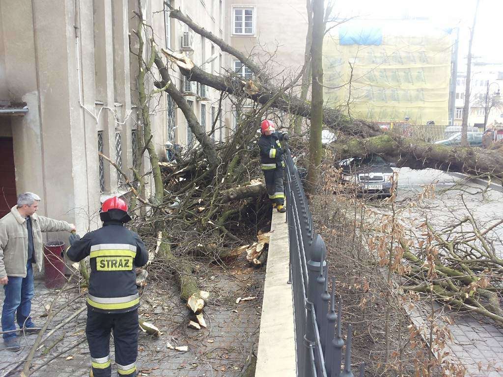 Drzewo przewróciło się na budynek Urzędu Skarbowego