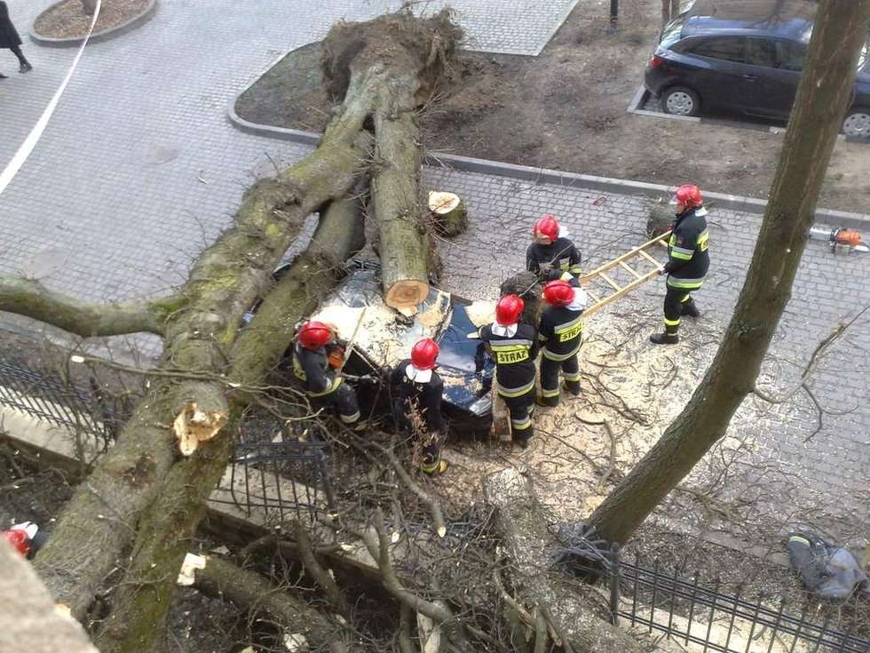  Drzewo przewróciło się na budynek Urzędu Skarbowego  - Autor: Jacek Świerczyński