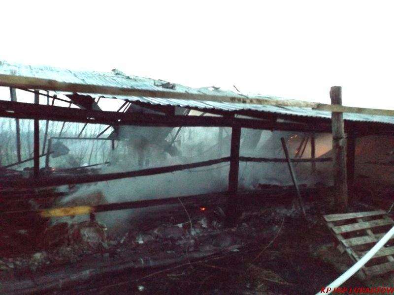 Pożar kurnika w miejscowości Krasne Krzywe 