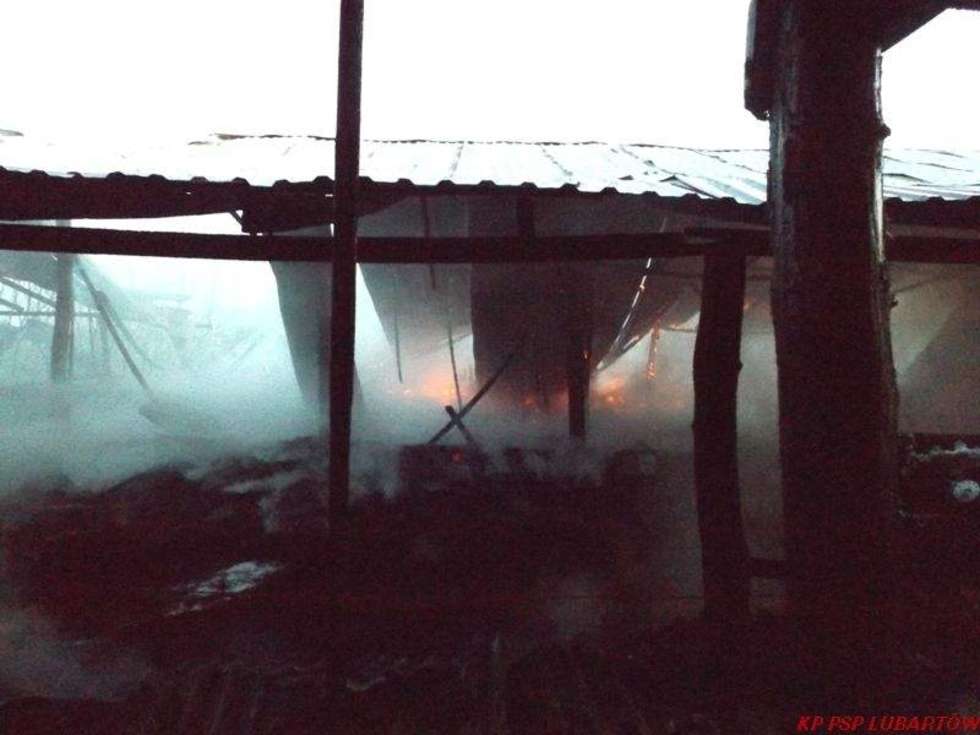  Pożar kurnika w miejscowości Krasne Krzywe (gm. Uścimów)