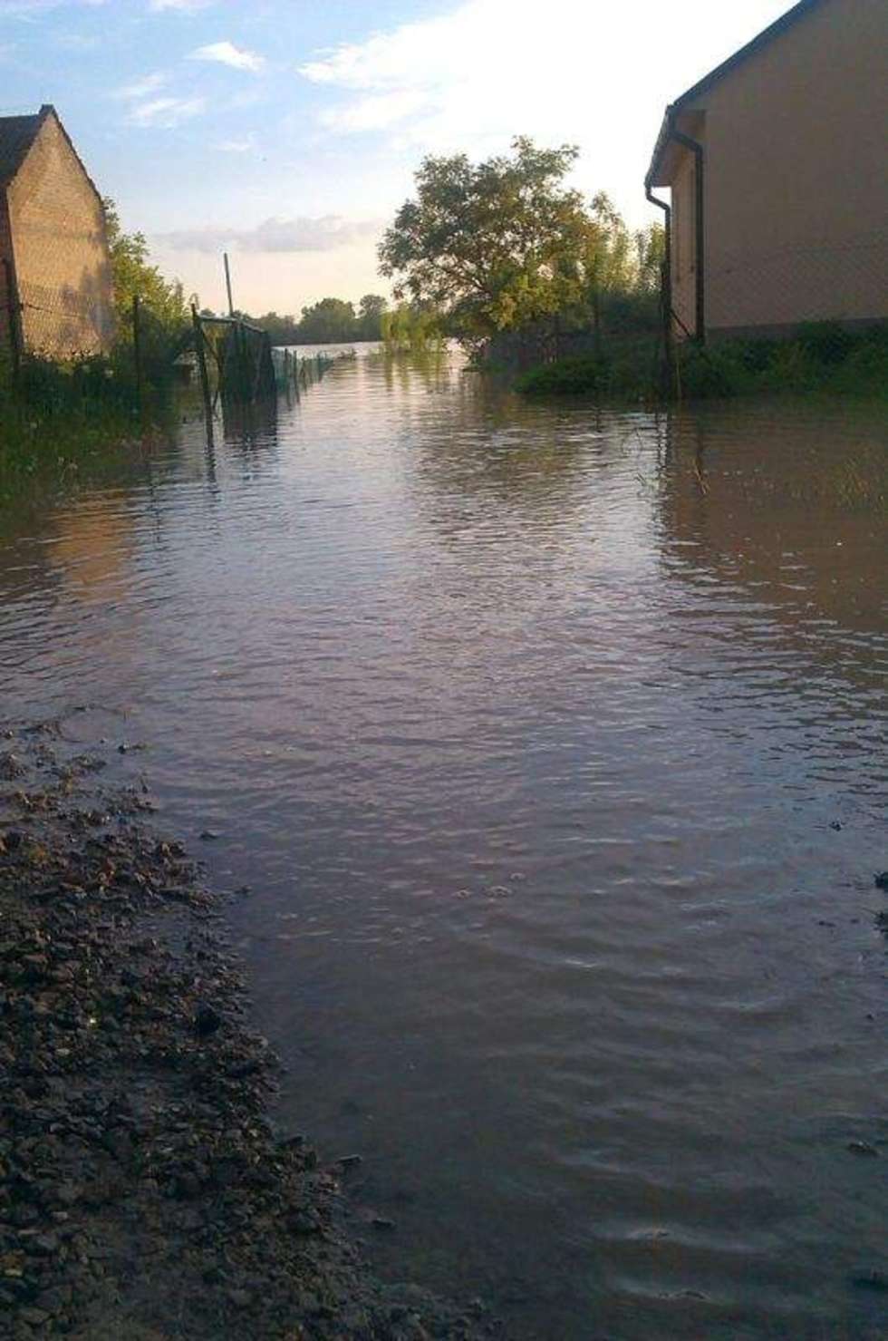  Alarm powodziowy w woj. lubelskim - zdjęcia internautów (zdjęcie 6) - Autor: Wiola Mi