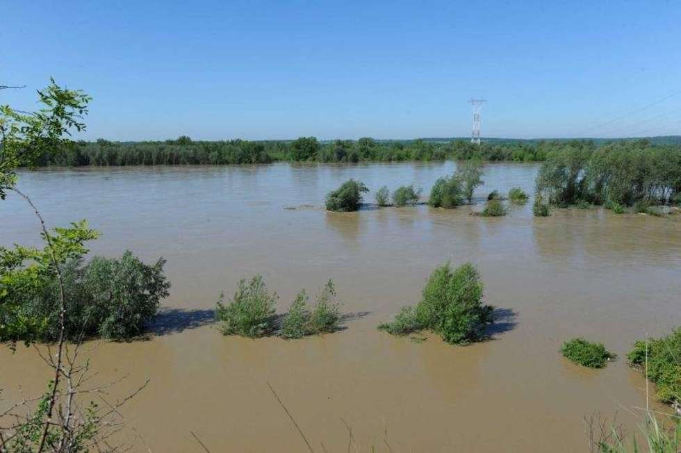  Alarm powodziowy w woj. lubelskim - zdjęcia internautów (zdjęcie 7) - Autor: Małgorzata Suszko