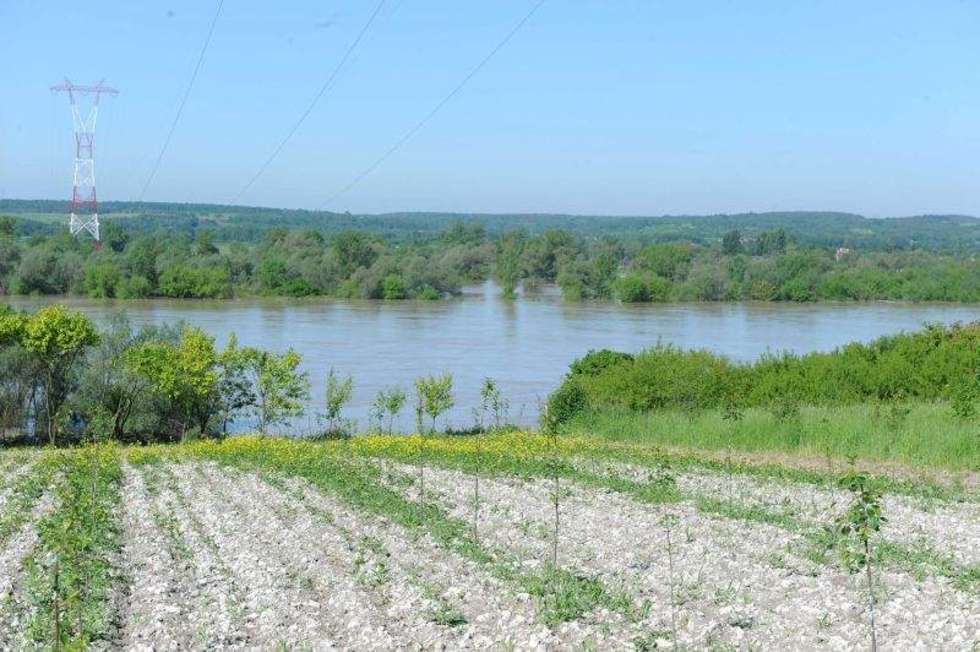  Alarm powodziowy w woj. lubelskim - zdjęcia internautów (zdjęcie 9) - Autor: Małgorzata Suszko