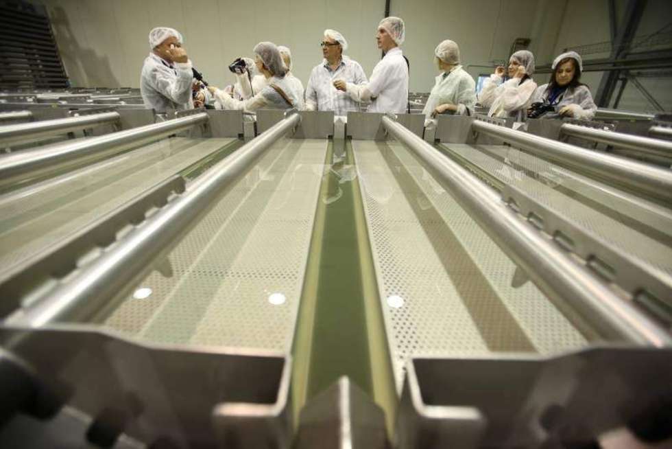  Spółdzielnia Mleczarska RYKI produkuje 11 tys. ton sera rocznie i zatrudnia 210 pracowników. Ostatnio wprowadziła na rynek nowość &#8211; sery w plastrach, dostępne w 150 gramowych opakowaniach typu &#8222;otwórz - zamknij&#8221;. Fot. Maciej Kaczanowski