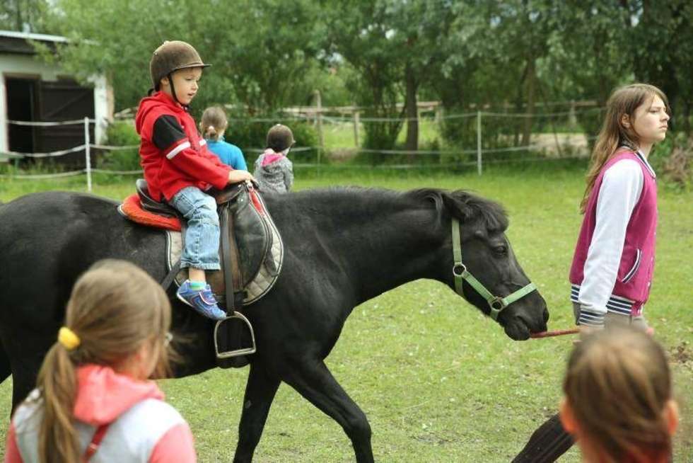  Lubelski Klub Jeździecki zorganizował rodzinny festyn z okazji Dnia Dziecka. Fot. Maciej Kczanowski