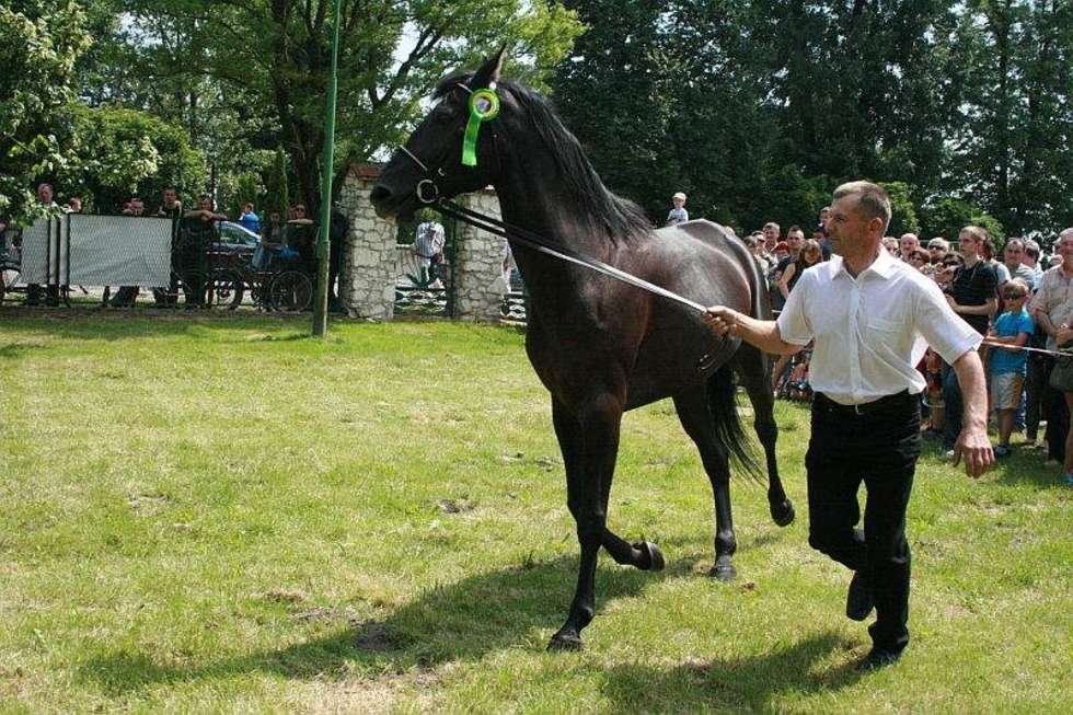  Dzień Otwartych Drzwi w LODR w Końskowoli (zdjęcie 14) - Autor: Agnieszka Antoń-Jucha