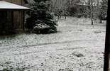 Pierwszy śnieg w woj. lubelskim (zdjęcie 3)