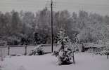 Pierwszy śnieg w woj. lubelskim (zdjęcie 4)