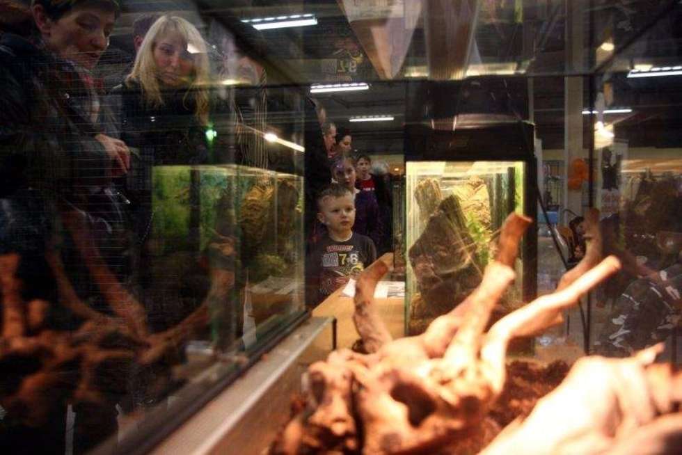  Wystawa Zwierząt w Galerii Olimp