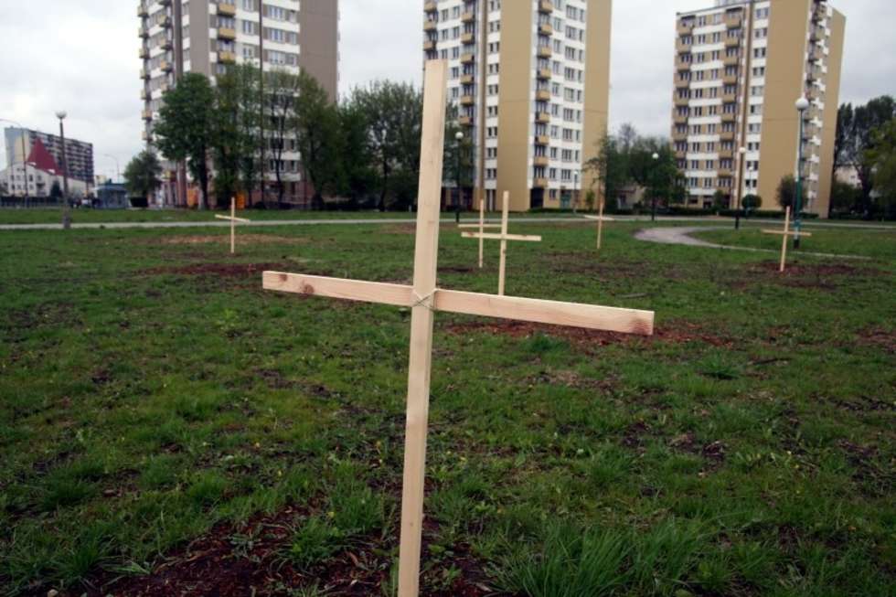 Krzyże w miejscu wyciętych drzew na Bronowicach