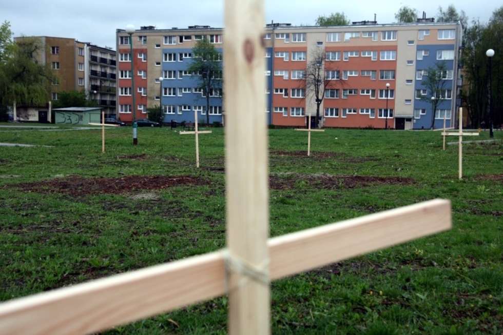  Krzyże w miejscu wyciętych drzew na Bronowicach