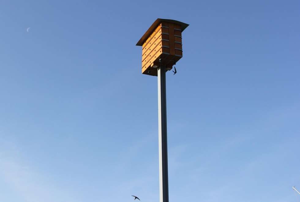  Wieża dla jaskółek i jerzyków w Puławach