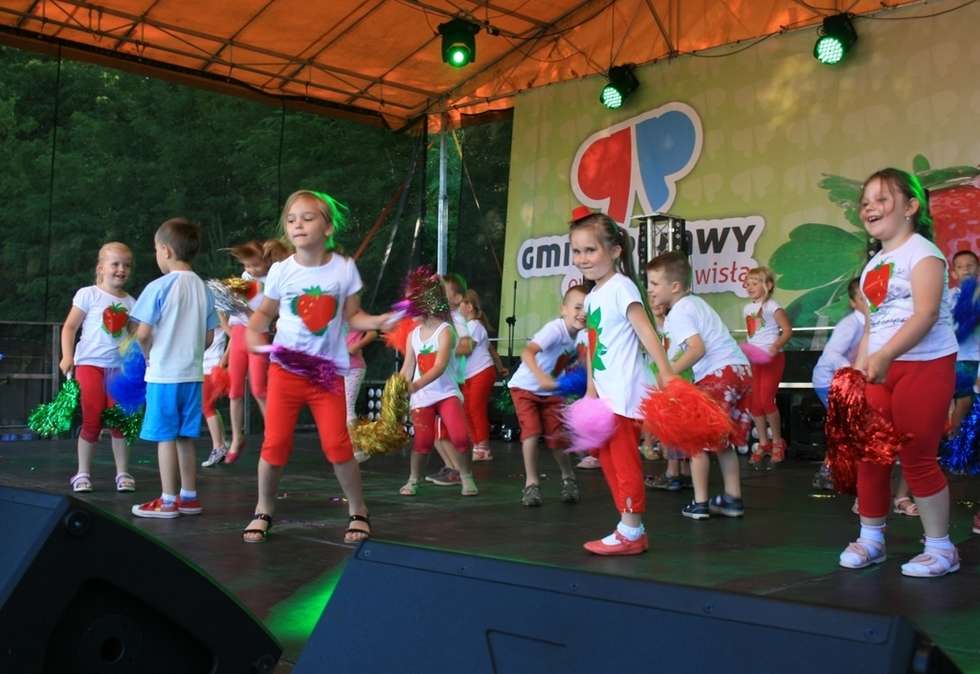  Święto Truskawki w gminie Puławy