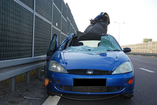 Zderzenia forda z łosiem na S-12 - Autor: Policja