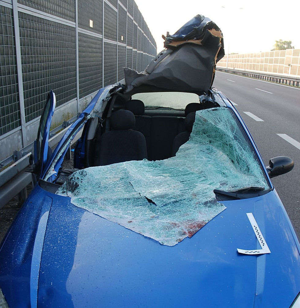  Zderzenia forda z łosiem na S-12  - Autor: Policja