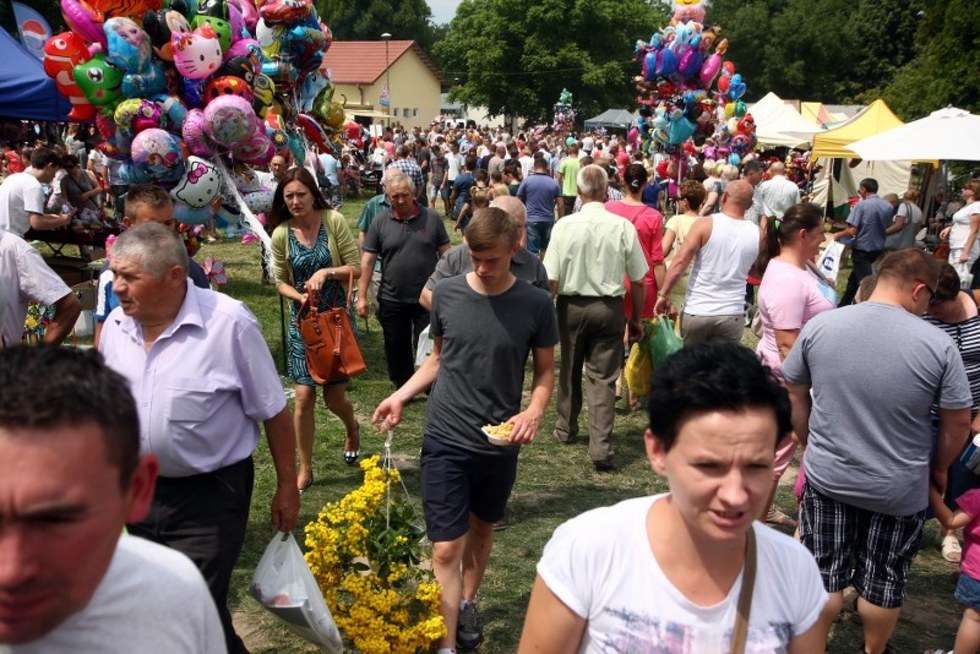 Festyn rolniczy w Końskowoli (zdjęcie 13) - Autor: as