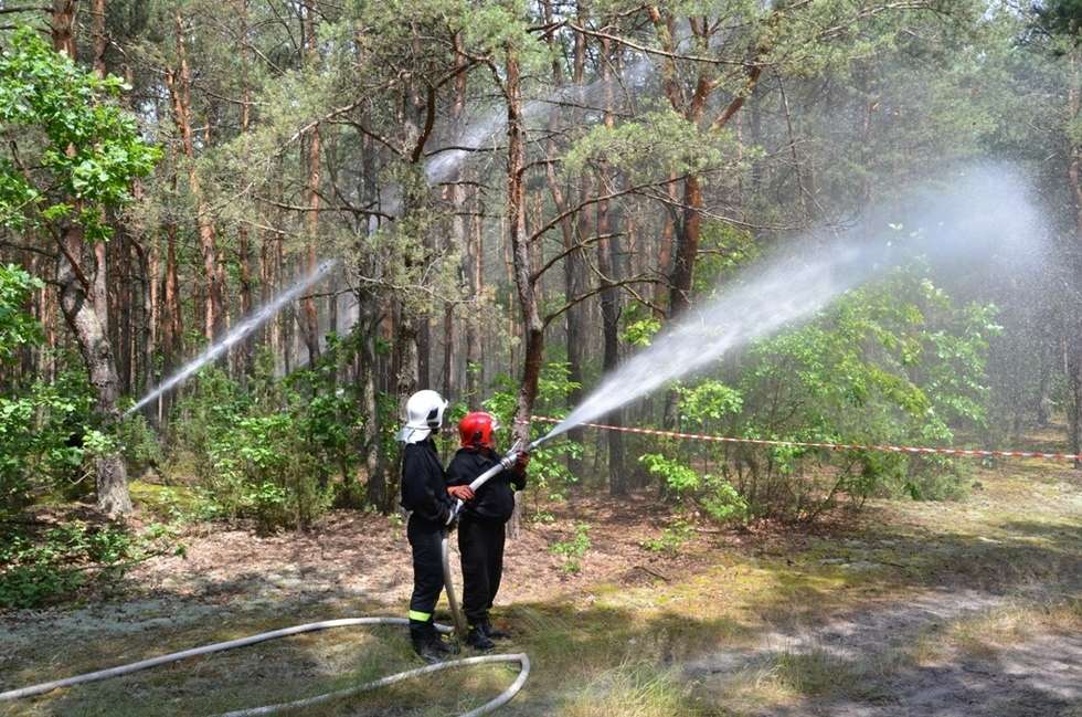 Ćwiczenia puławskich strażaków (zdjęcie 2) - Autor: KP PSP Puławy