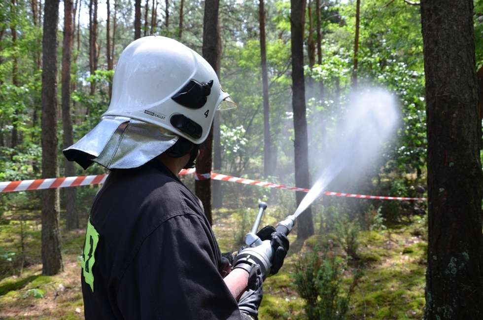  Ćwiczenia puławskich strażaków  - Autor: KP PSP Puławy