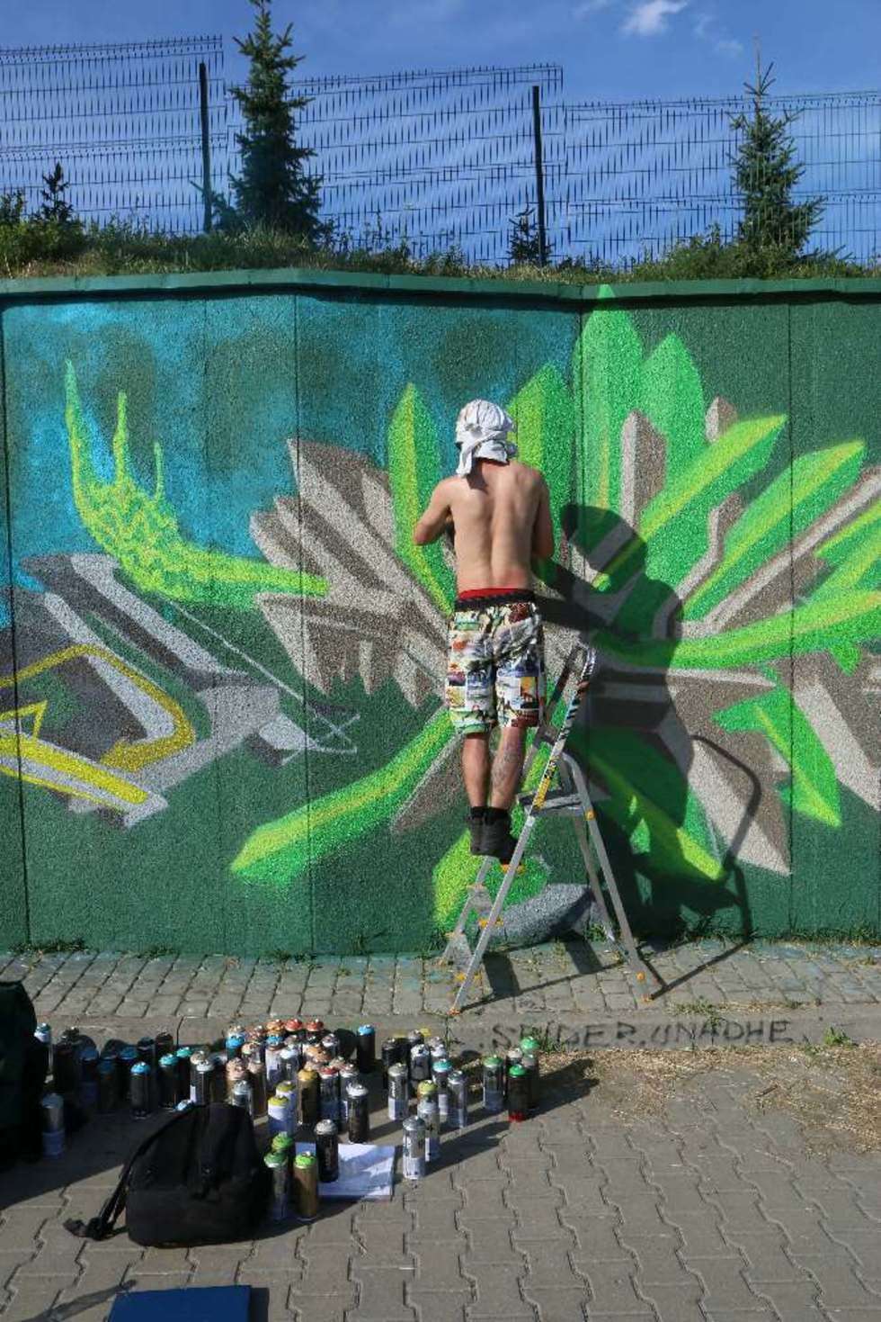  Nowe graffiti na ul. Zana (zdjęcie 15) - Autor: Maciej Kaczanowski