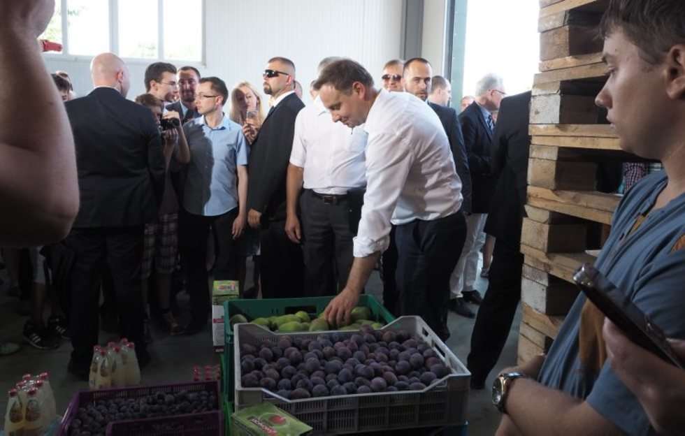  Prezydent Duda odwiedził sadowników (zdjęcie 5) - Autor: Wojciech Nieśpiałowski