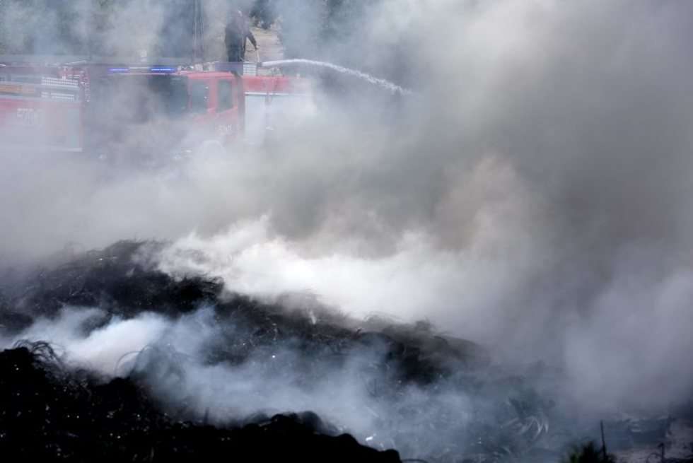  Dogaszanie pożaru składowiska opon w Rykach (zdjęcie 9) - Autor: Dorota Awiorko