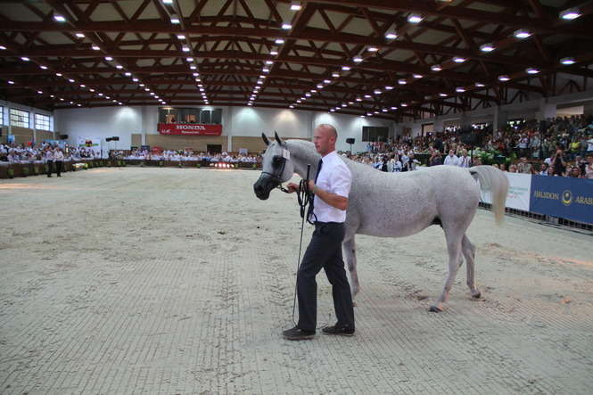 Pride of Poland: Pepita