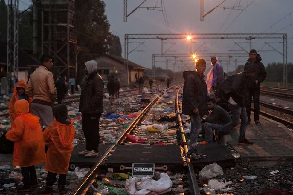 Uchodźcy na pograniczu serbsko-chorwackim (zdjęcie 16) - Autor: Jacek Szydłowski