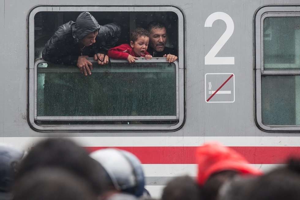  Uchodźcy na pograniczu serbsko-chorwackim (zdjęcie 9) - Autor: Jacek Szydłowski