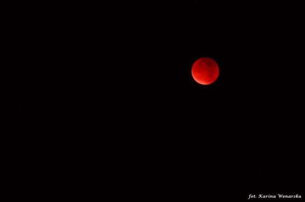  Zaćmienie Księżyca. Zdjęcia Czytelników  - Autor: Karina Wenarska