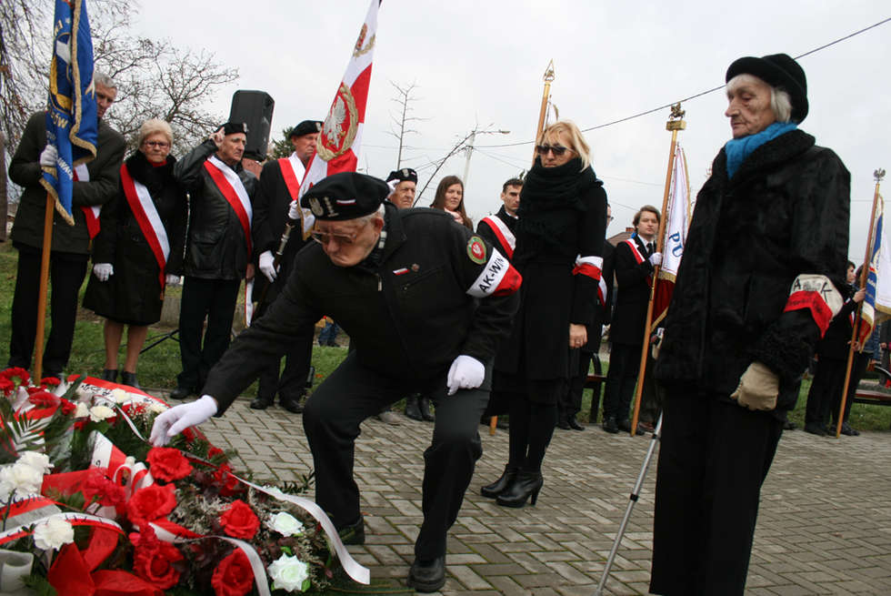  Święto Niepodległości w Puławach (zdjęcie 8) - Autor: Radosław Szczęch