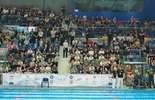 Pływackie Mistrzostwa Polski w Aqua Lublin (zdjęcie 4)