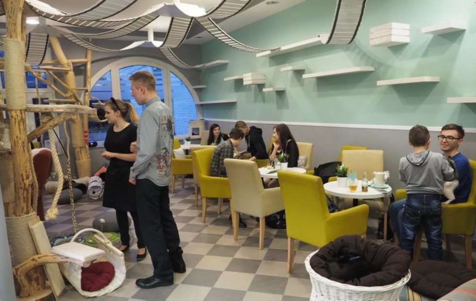  Otwarcie Mrau Cafe w Lublinie. (zdjęcie 2) - Autor: Wojciech Nieśpiałowski
