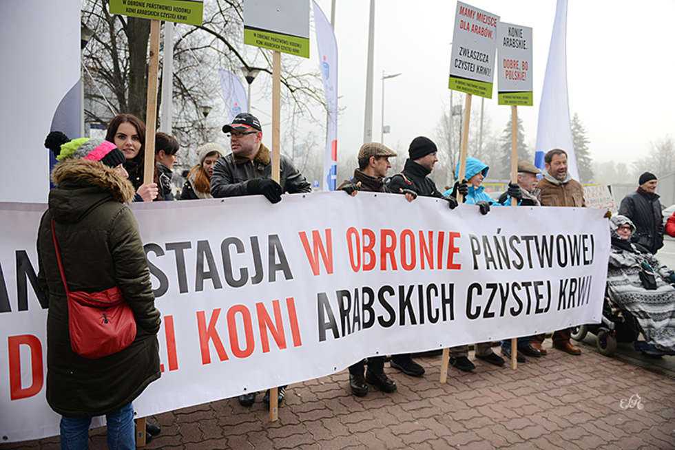  Manifestacja w obronie stadnin  - Autor: Ewa Imielska-Hebda