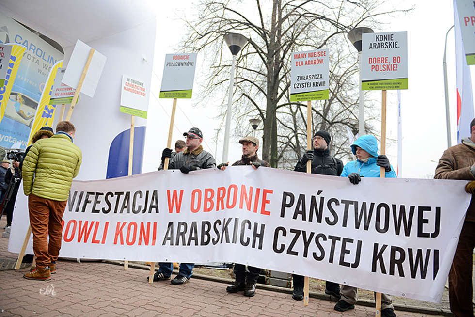  Manifestacja w obronie stadnin (zdjęcie 2) - Autor: Ewa Imielska-Hebda