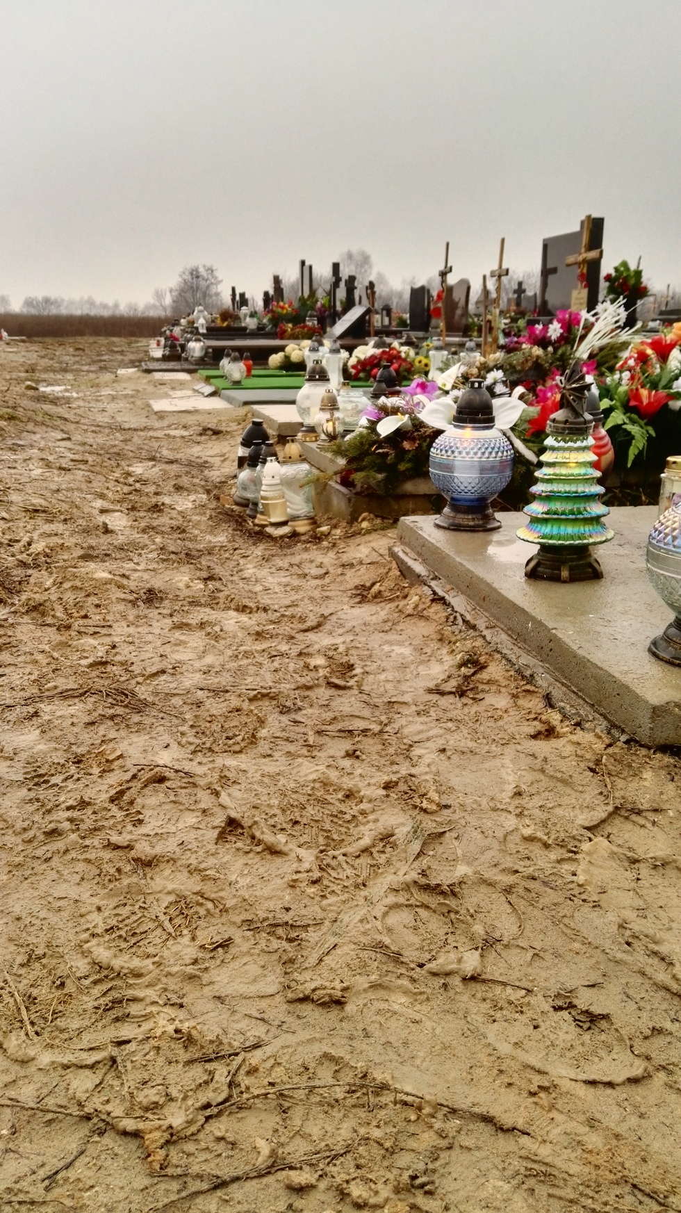  Cmentarz na Majdanku (zdjęcie 4) - Autor: Alarm24