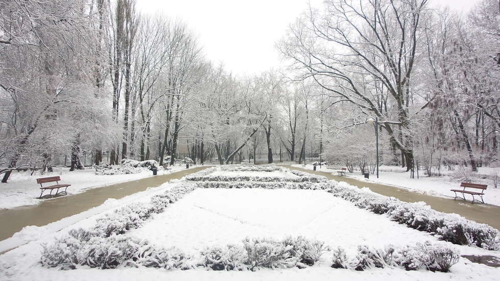  Zimowy Ogród Saski (zdjęcie 8) - Autor: Krystian Lendas