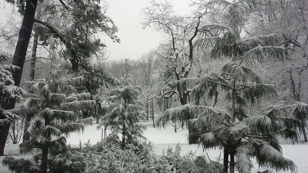  Zimowy Ogród Saski (zdjęcie 7) - Autor: Krystian Lendas