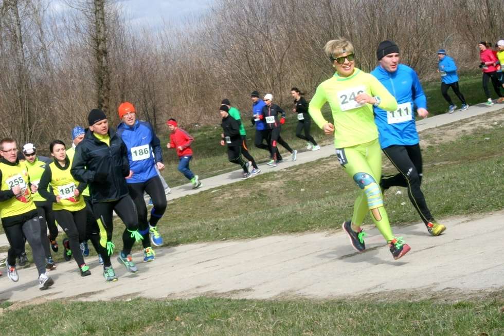  Bieg Zielonych Sznurowadeł zgromadził kilkuset biegaczy w Puławach (zdjęcie 8) - Autor: Radosław Szczęch
