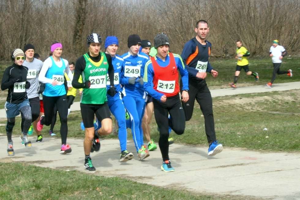  Bieg Zielonych Sznurowadeł zgromadził kilkuset biegaczy w Puławach (zdjęcie 6) - Autor: Radosław Szczęch