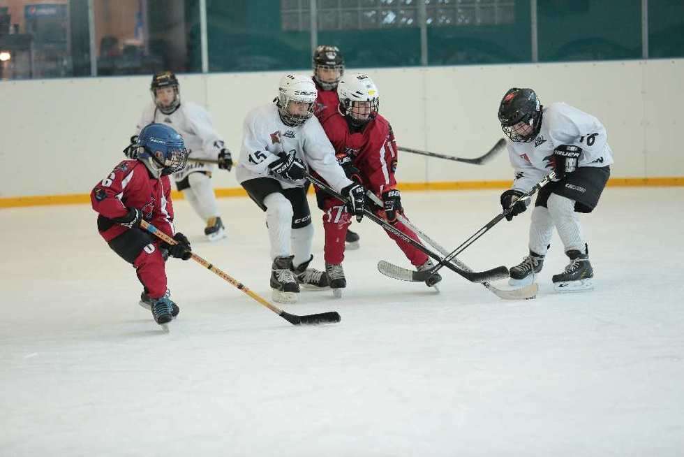  Icemania: turniej minihokeja dla dzieci (zdjęcie 11) - Autor: Maciej Kaczanowski