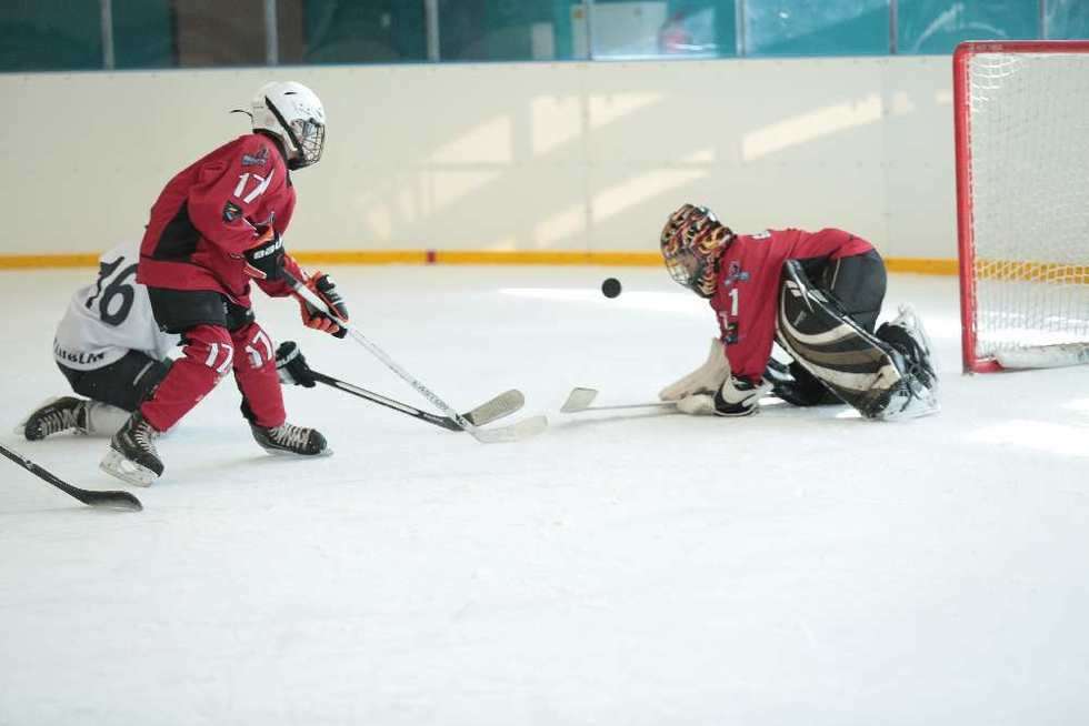  Icemania: turniej minihokeja dla dzieci (zdjęcie 9) - Autor: Maciej Kaczanowski