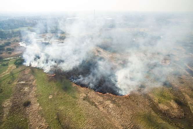 Pożar traw w okolicach Milejowa - Autor: Grzegorz Chowicki