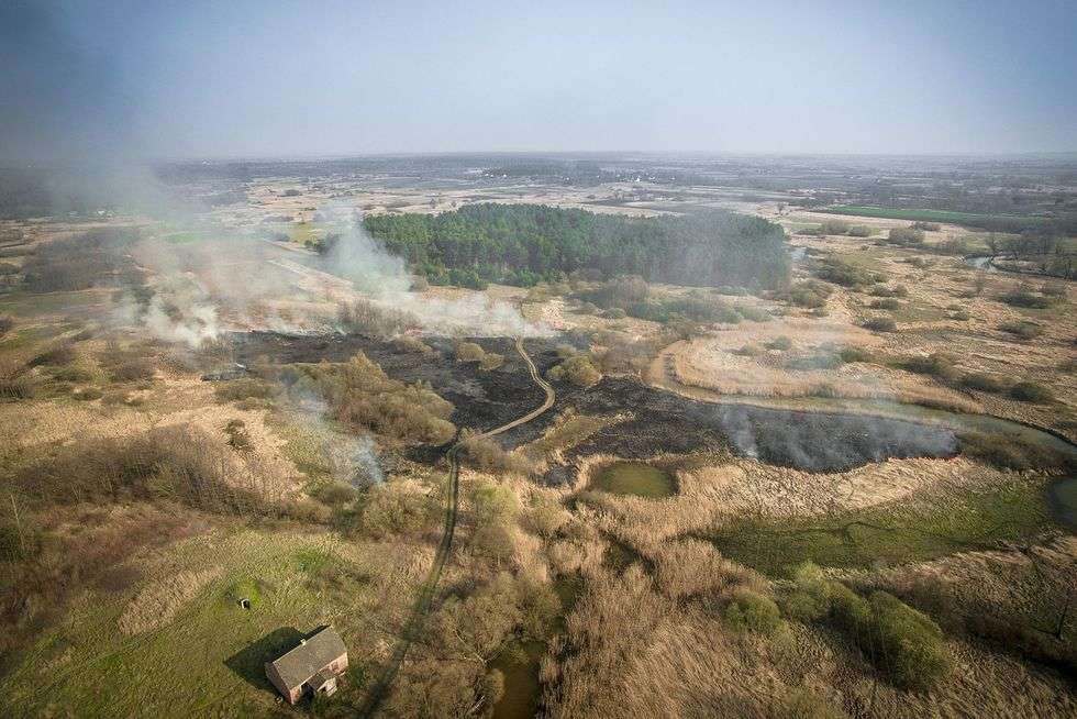  Pożar traw w okolicach Milejowa  - Autor: Grzegorz Chowicki