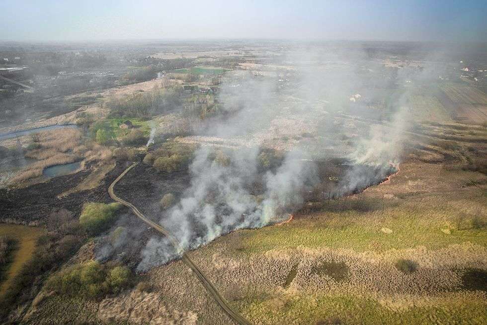  Pożar traw w okolicach Milejowa (zdjęcie 2) - Autor: Grzegorz Chowicki