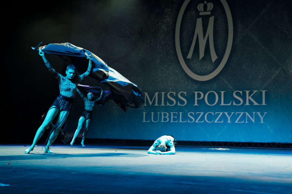  Miss Polski Lubelszczyzny 2016. Gala finałowa (zdjęcie 14) - Autor: Michał Patroń
