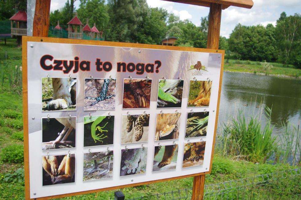  Nowe atrakcje w ZOO w Zamościu (zdjęcie 1) - Autor: Łukasz Sułowski