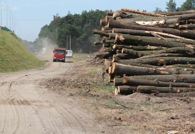 Budowa drogi łączącej S17 z obwodnicą Puław